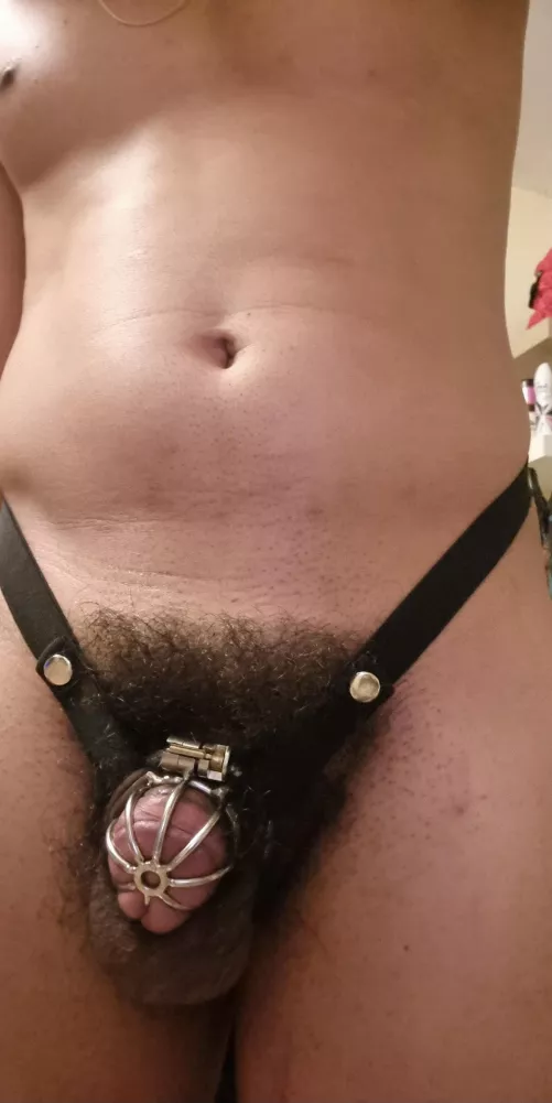 straps are amazing 🔒 by ssubby_boi