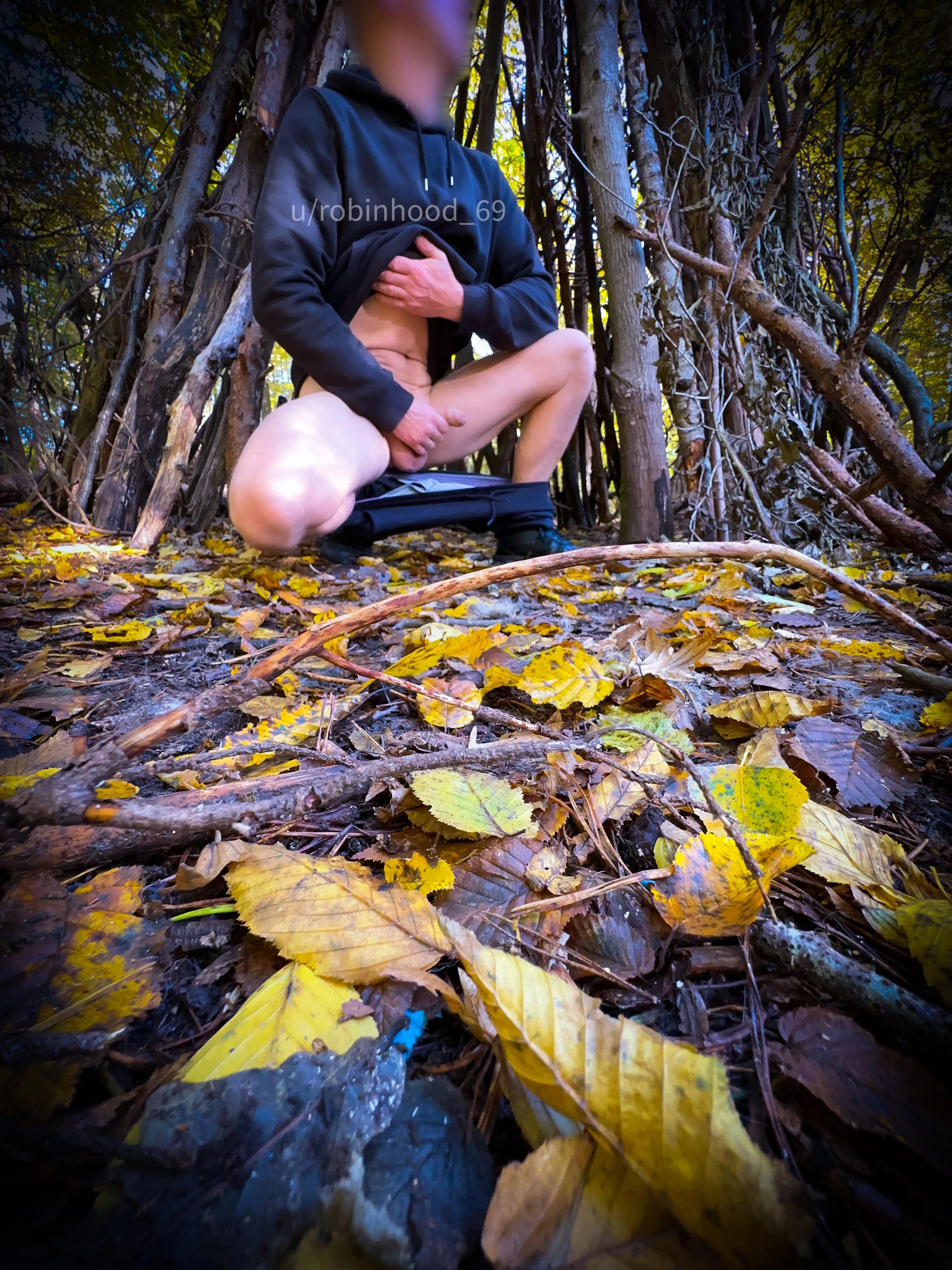 Forest of Eden. Daddy is Flashing my average cock at the forest posted by Robinhood_69