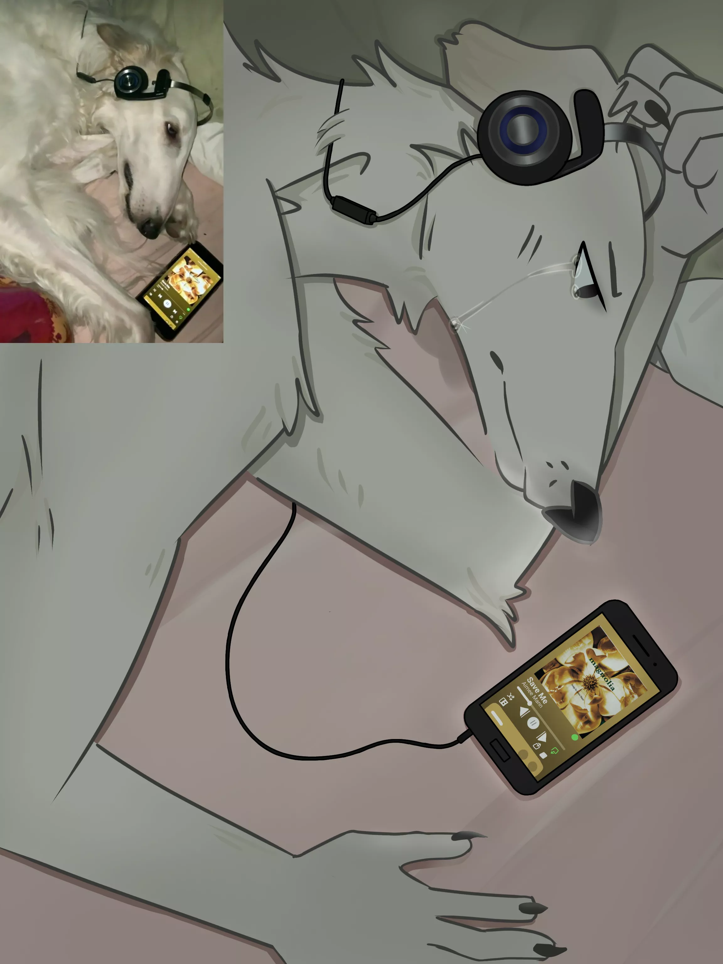 I find it so fun to take silly photos of dogs and furrify them- so I make a silly borzoi 🙂 (Art by me) posted by CassSenpaii