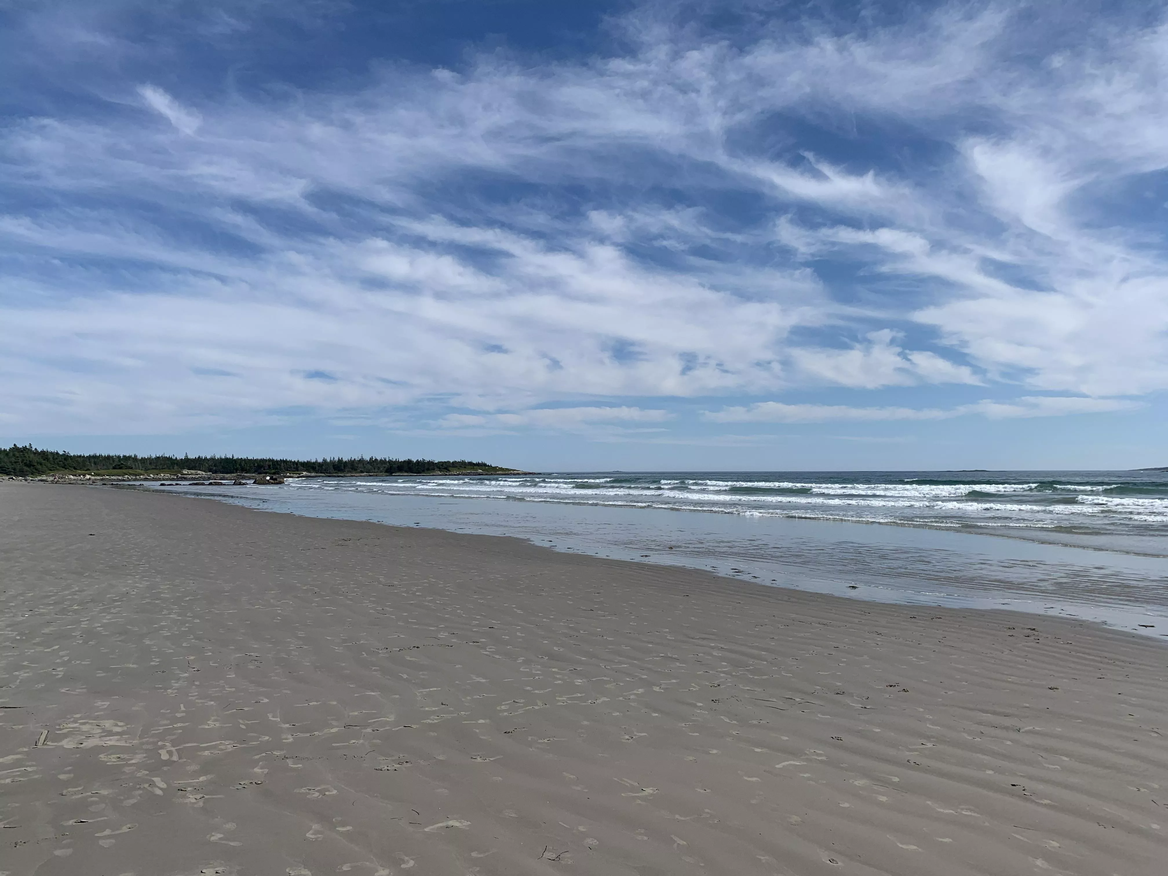 Miss this today…. posted by Lemazze