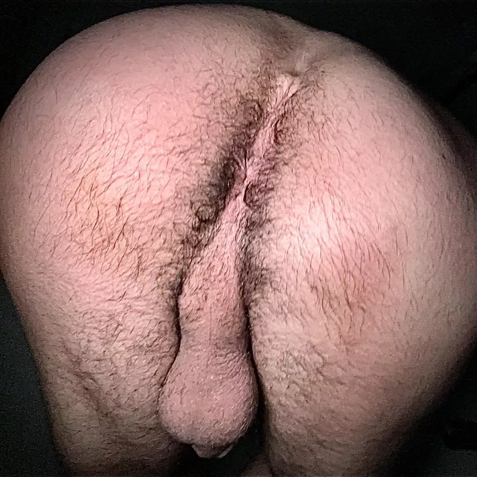 Caught my dad jerking it to a sub just like this over thanksgiving break. Tbh I’d be thankful if he saw this😜 posted by HeftyBullBalls