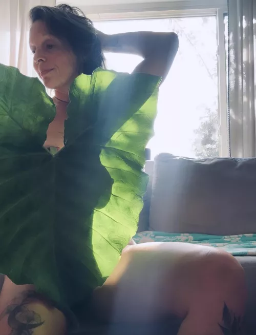 Chasing that Winter sunlight. by Public-Professor-418