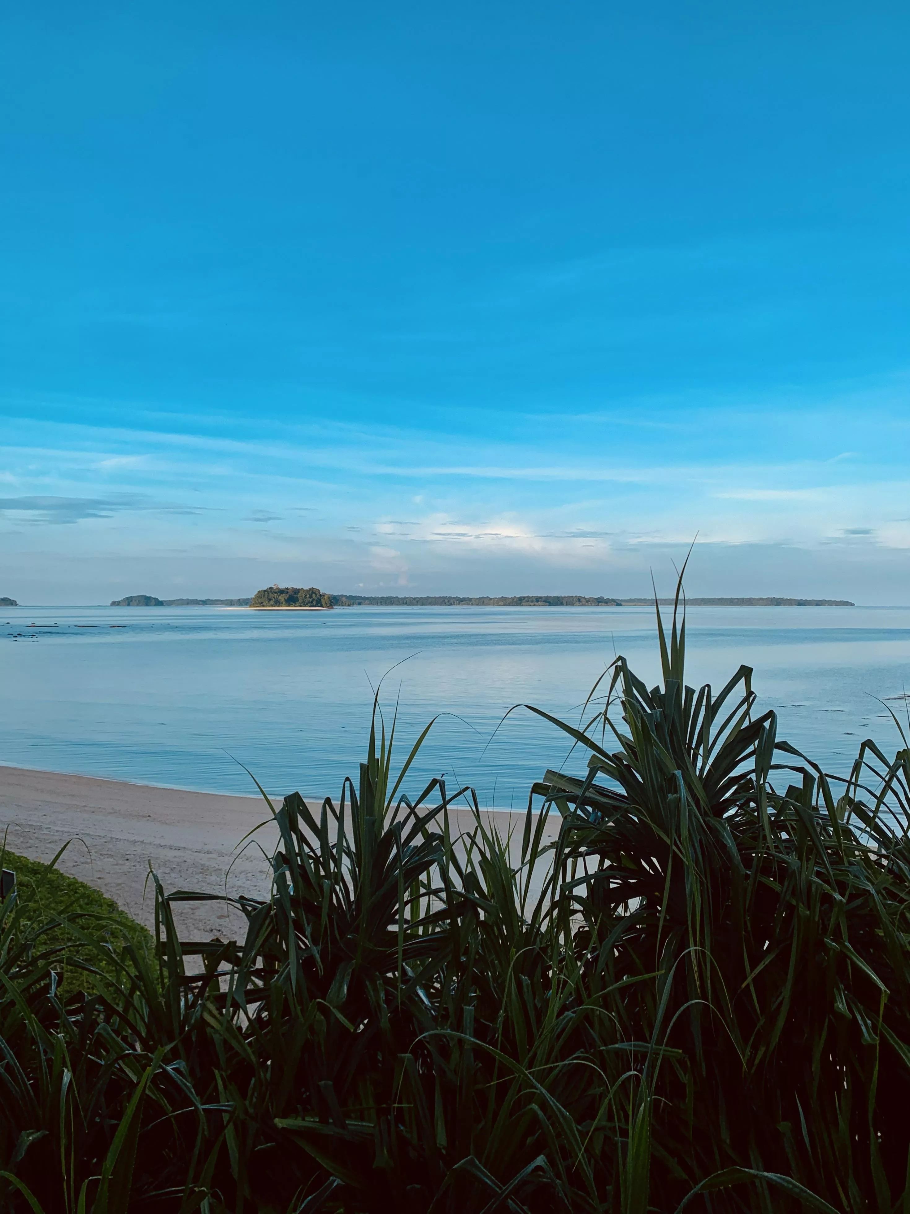 Empty beaches where nobody goes>>> posted by Bayleafwatcher