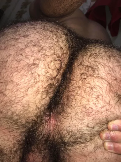 furry enough? by aaronbandolero