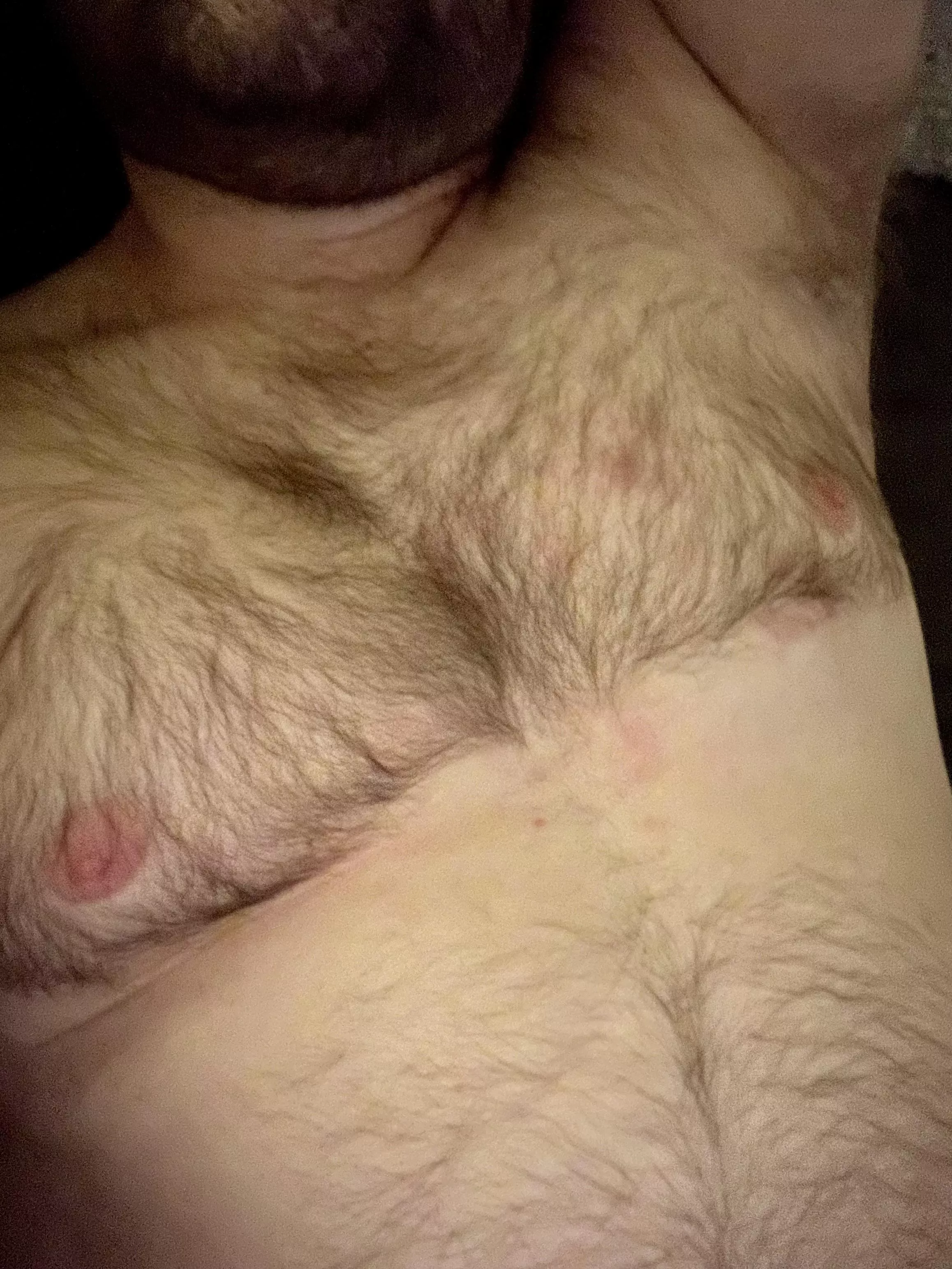 Hairy chest; tiny nipples 😜 posted by Cum0nDowwn