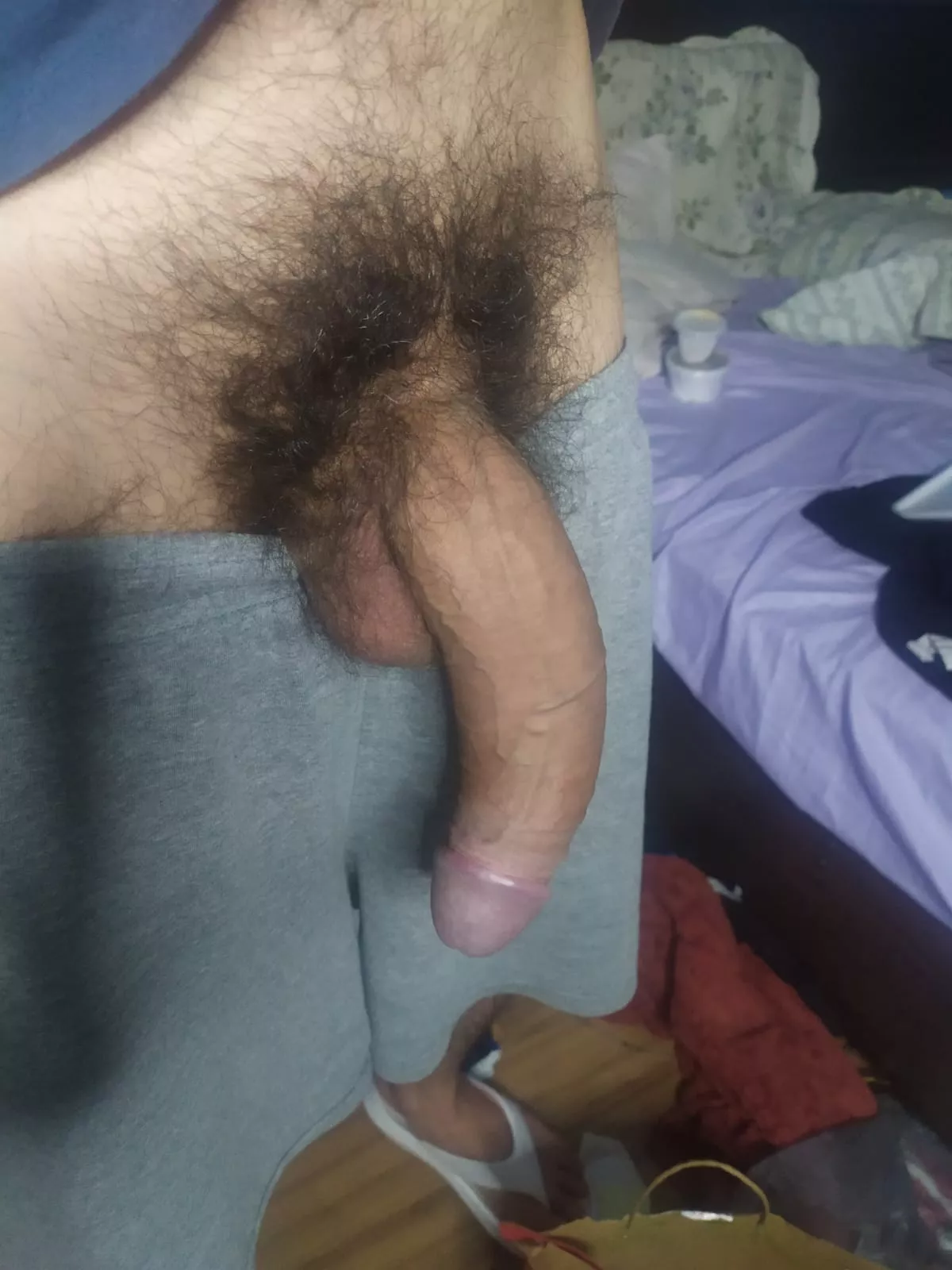 Hairy monster for you... posted by lucdi10