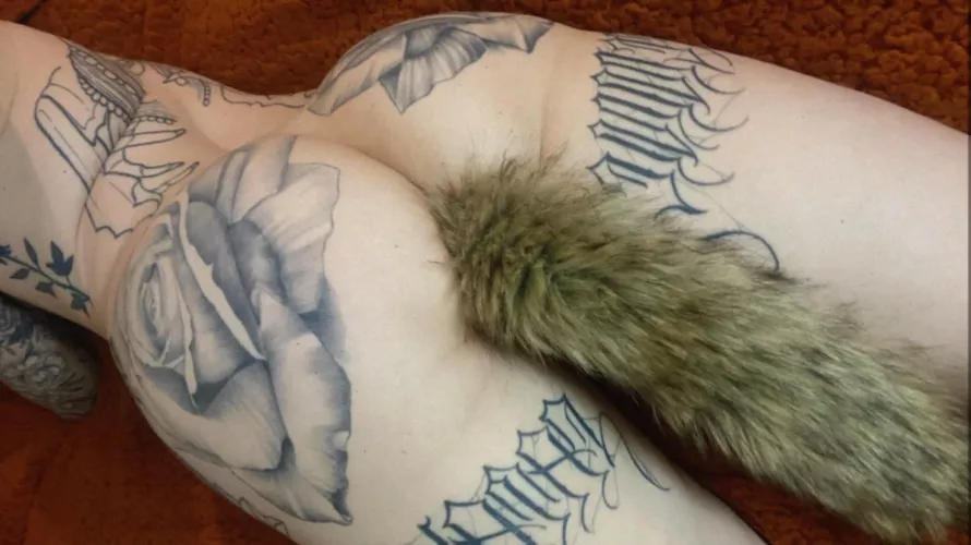 I need more tail plugs by tattooedtegan