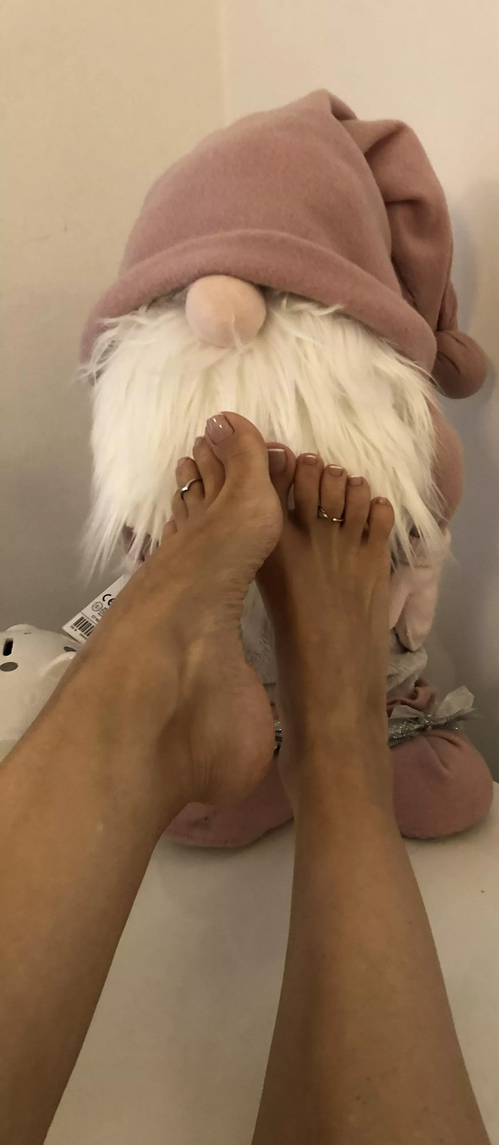 Isn't he cute? posted by albastoes