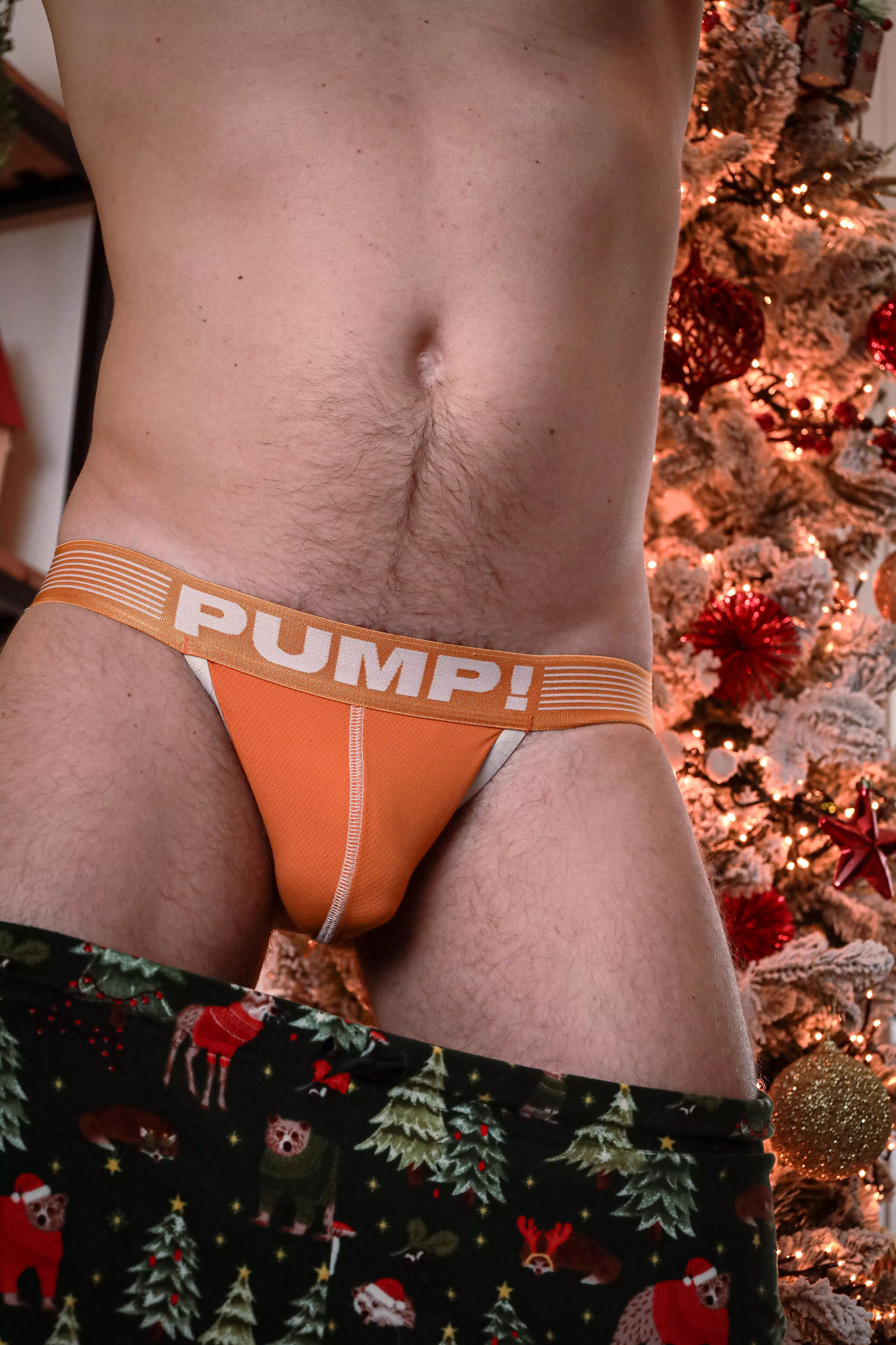 It’s time! …….I love Christmas🎄 posted by TheDoubleDutchies