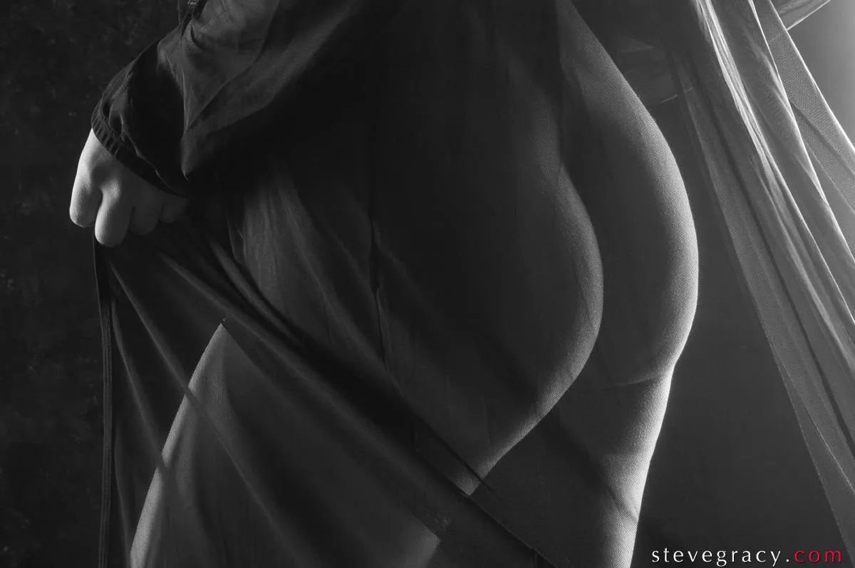 Majesty in sheer posted by SteveGracyPhoto