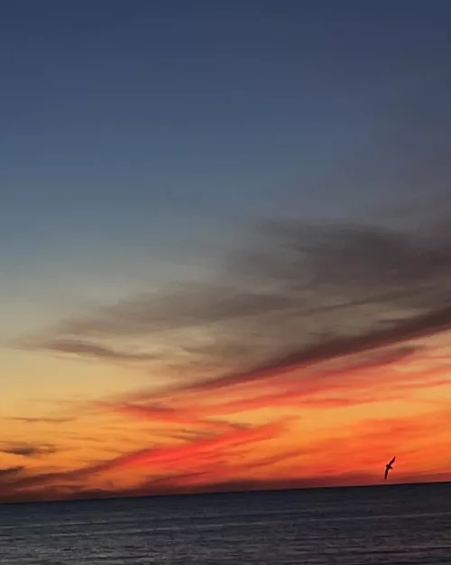 My backyard tonight. Never gets old. by pcbwes