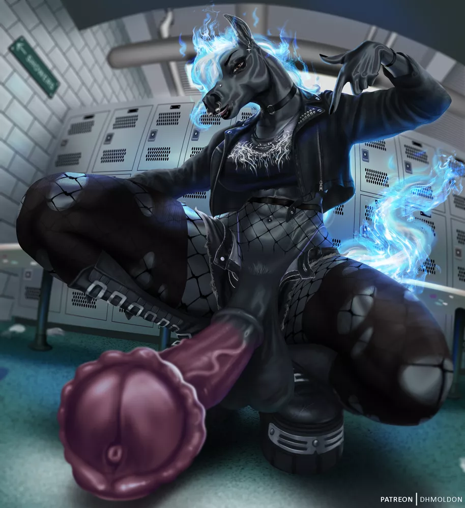 Sephalla (Dhmoldon) posted by sir_kiwi_bird