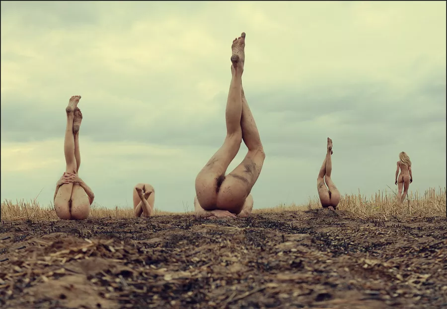 Strange fruit is growing in your field posted by woodyeverhard