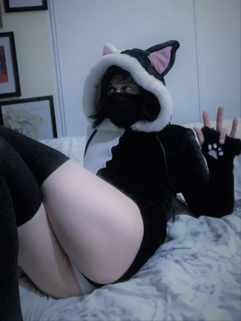 submissive kitty says hello :3 by flipknifecat
