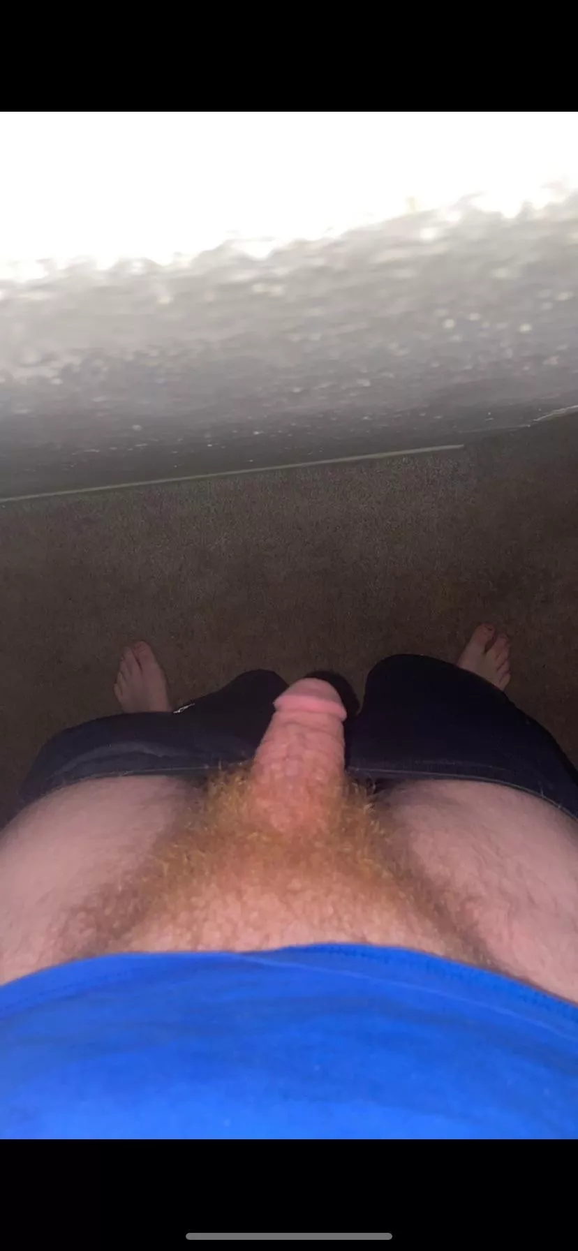 18, any hair gingers like me? I like seeing your pubes, message me posted by RedDevon6