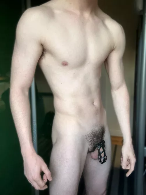 (19) Finally trying out my first cage! by FlynnFoxx