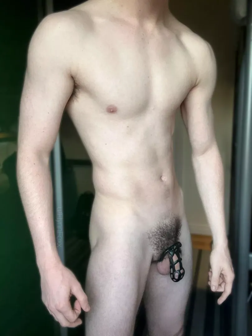 (19) If I’m good, can you let me out of my cage? 🥹 posted by FlynnFoxx