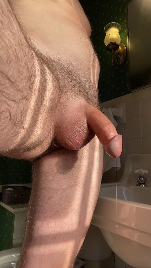 (43) Another rotation around the sun by Marthasferaltomcat2