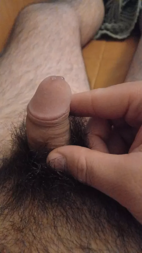 Anyone want to join me on the couch? by ItchyFish3716