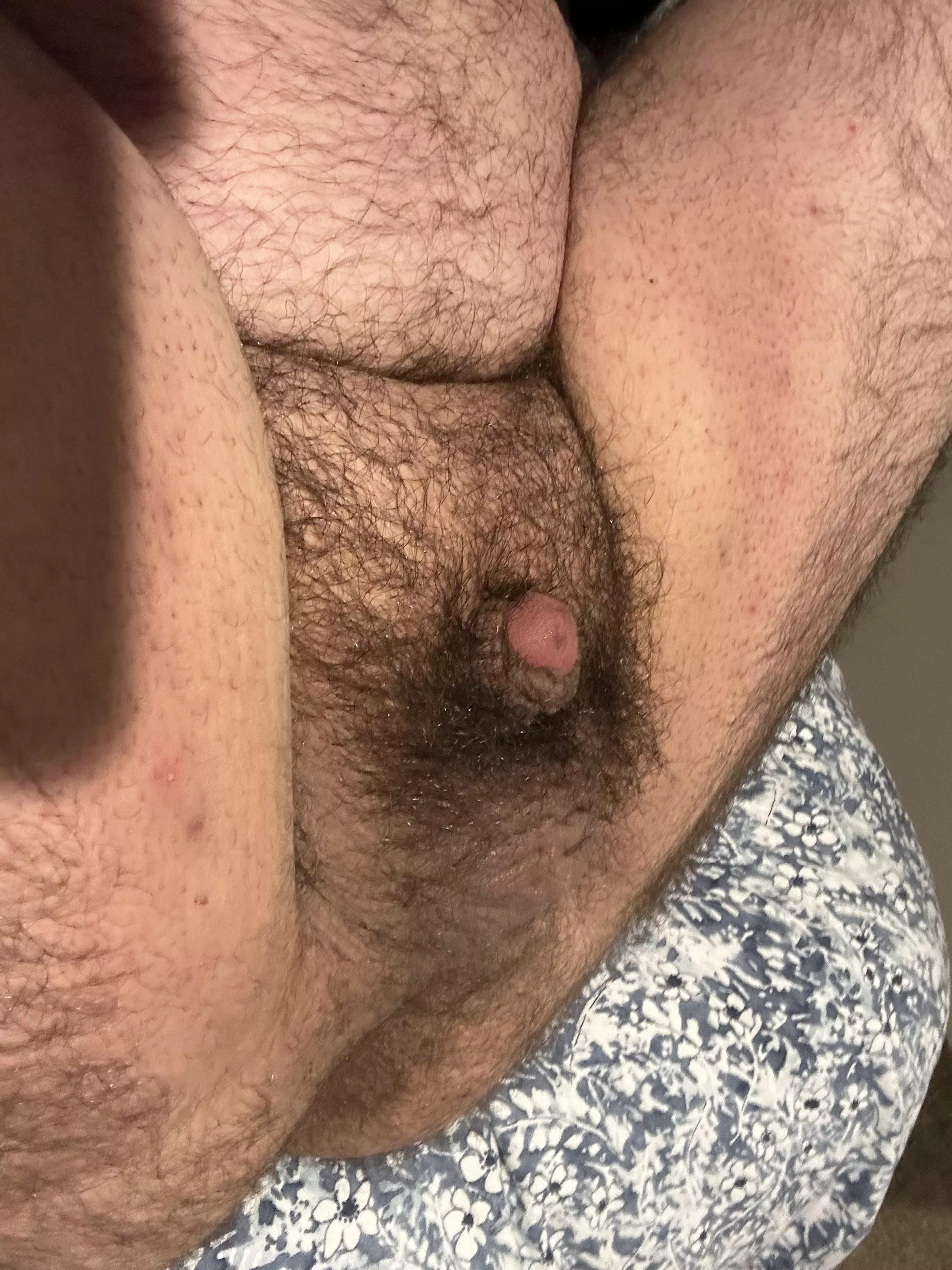 DMs are open, tell me what you think. posted by ObjectiveLeg6967