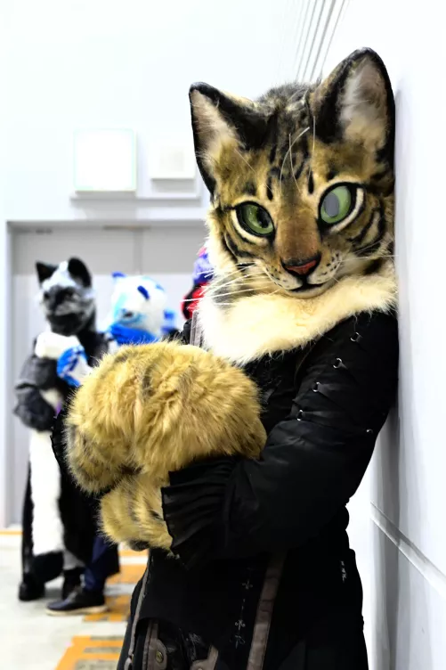 #FursuitFriday by @maycat05 on Twitter by Dragoniel