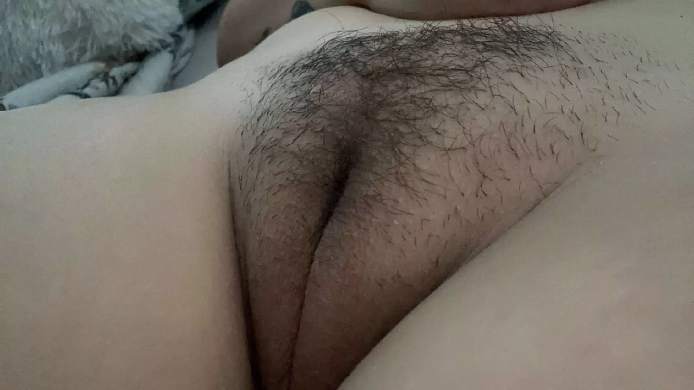 Hairy or shaved? posted by desssybb