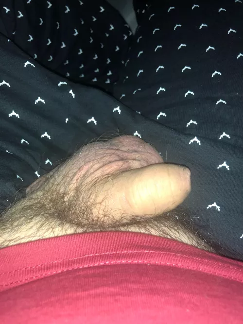 He wants to grow in someone’s mouth by Fast_Top_9842