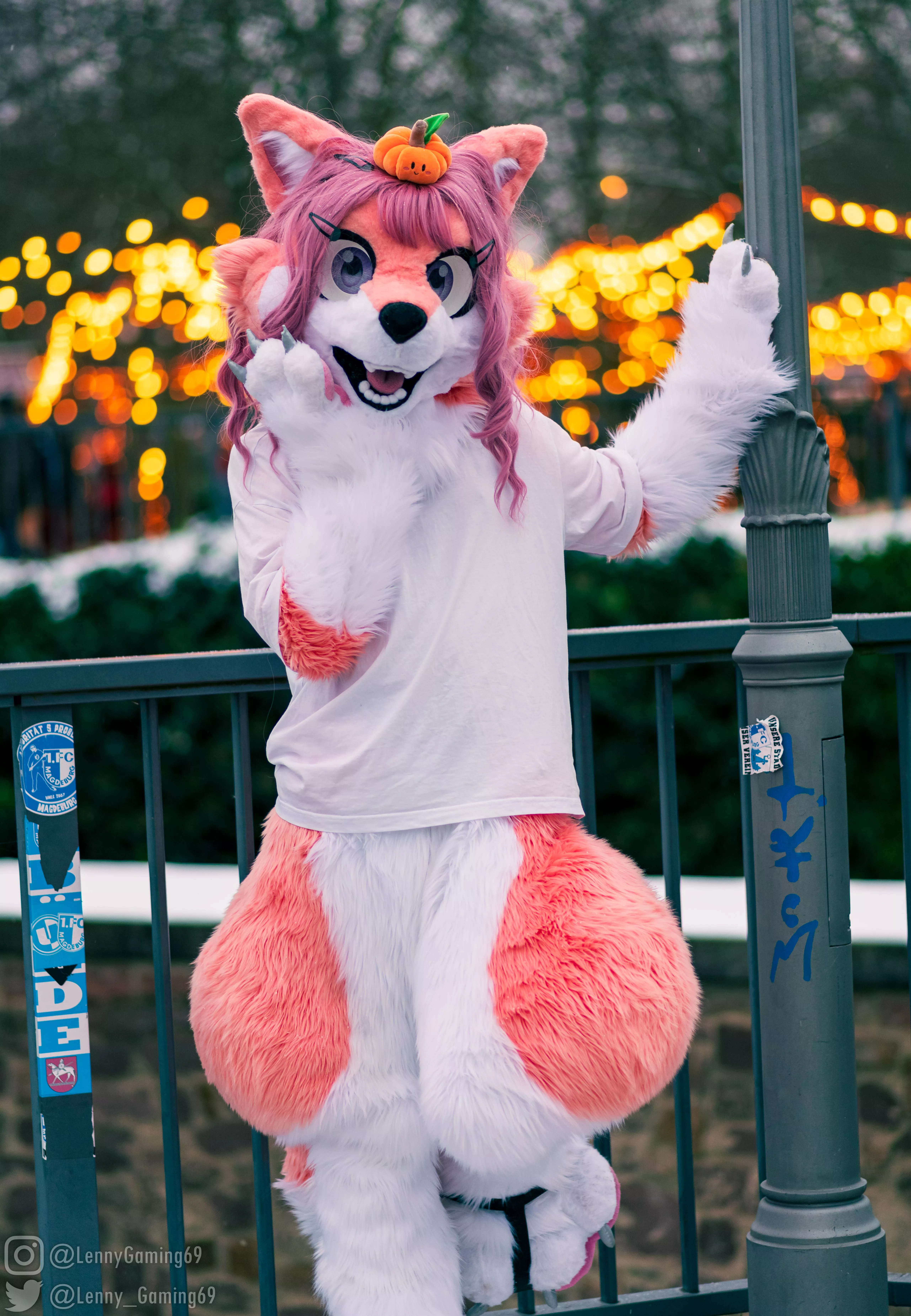 I just love the lights everywhere during christmas time! [Lenny] posted by princesscier