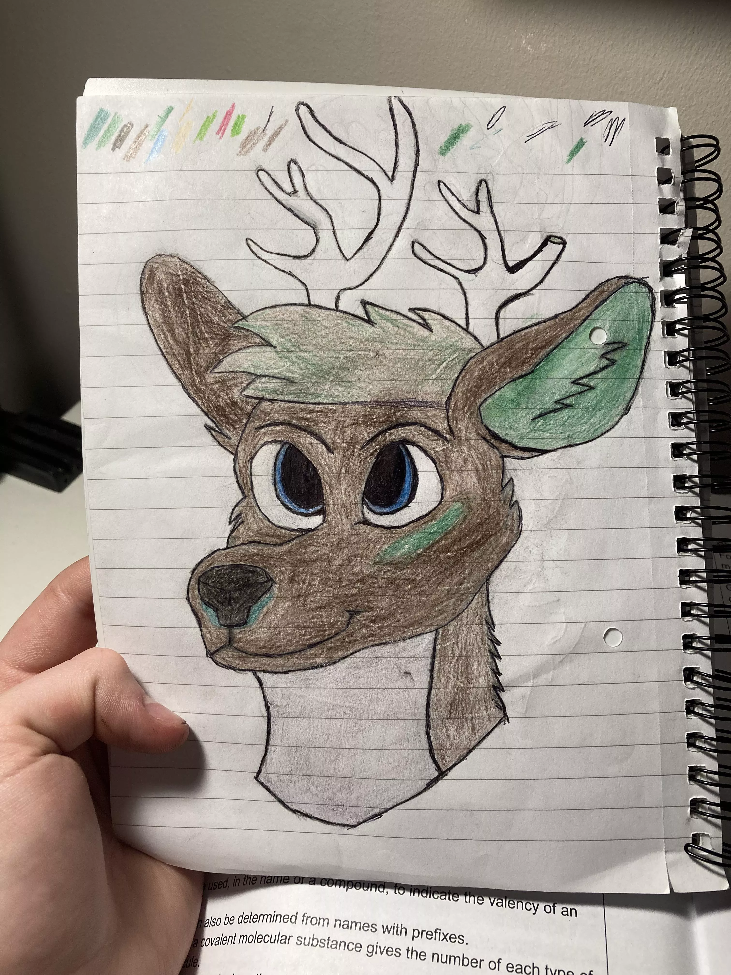 My first attempt at drawing my Fursona! Also open to name suggestions. posted by Thedungeonslayer