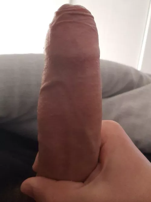 opinions? by No_Barracuda_699