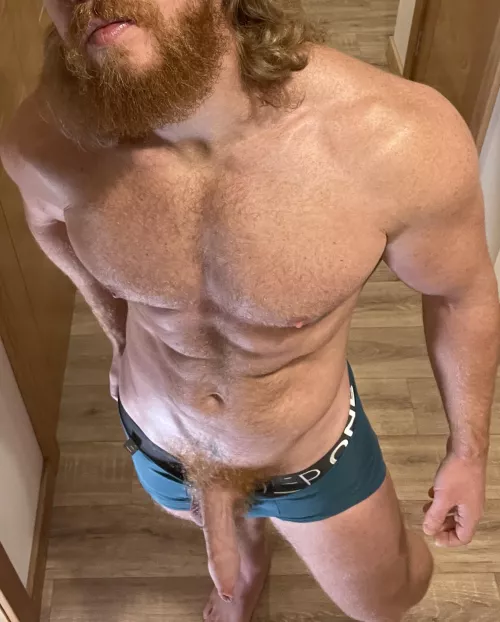 Strong hairy ginger Daddy by Bearded_alpha1