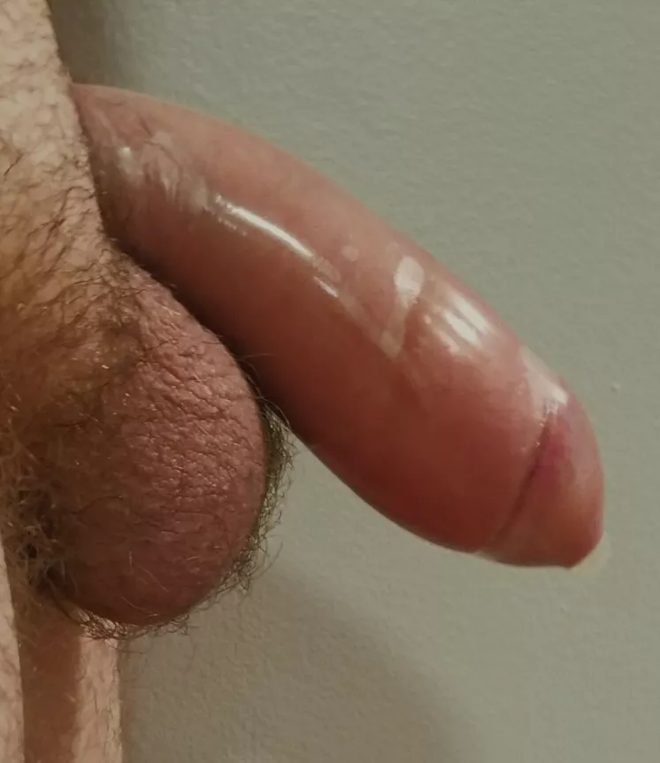 Testing condo[m]s posted by Biggerthebetter42