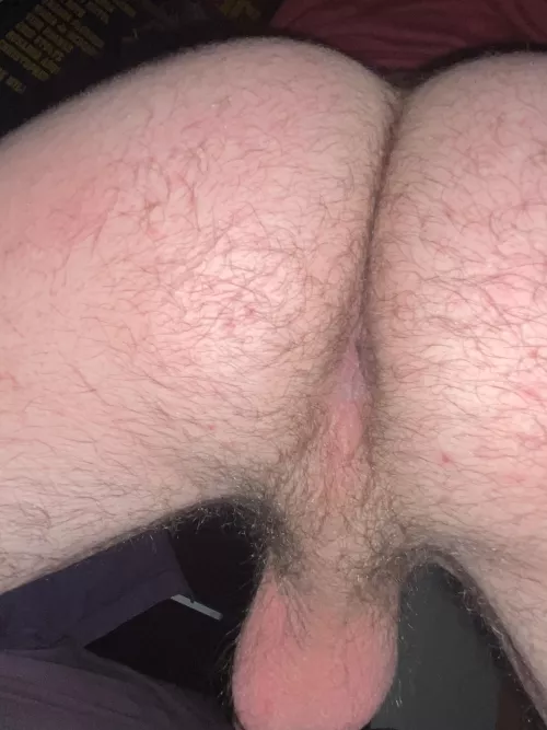 does my hole make you hard by Alert_Two_9035