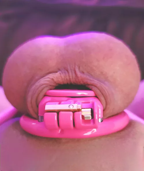 Freshly shaved & caged clitty 🩷🤍🩷🤍🩷 by Individual_Future433