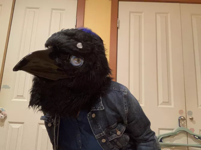 Happy Feathersuit Friday! :D 💙🐦 by TheCreepy_Corvid