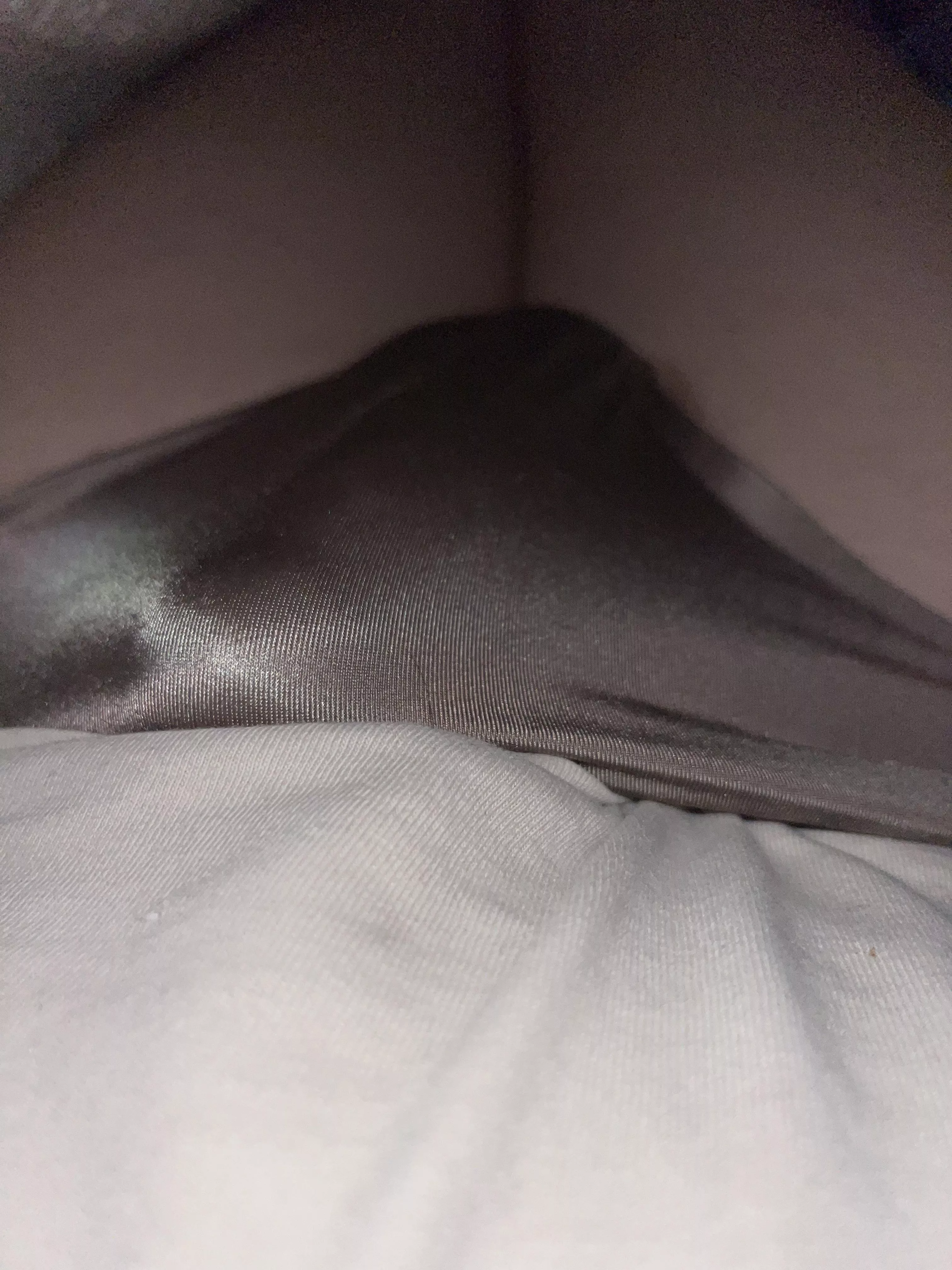 Hiding under the covers this morning posted by Oknewmehere