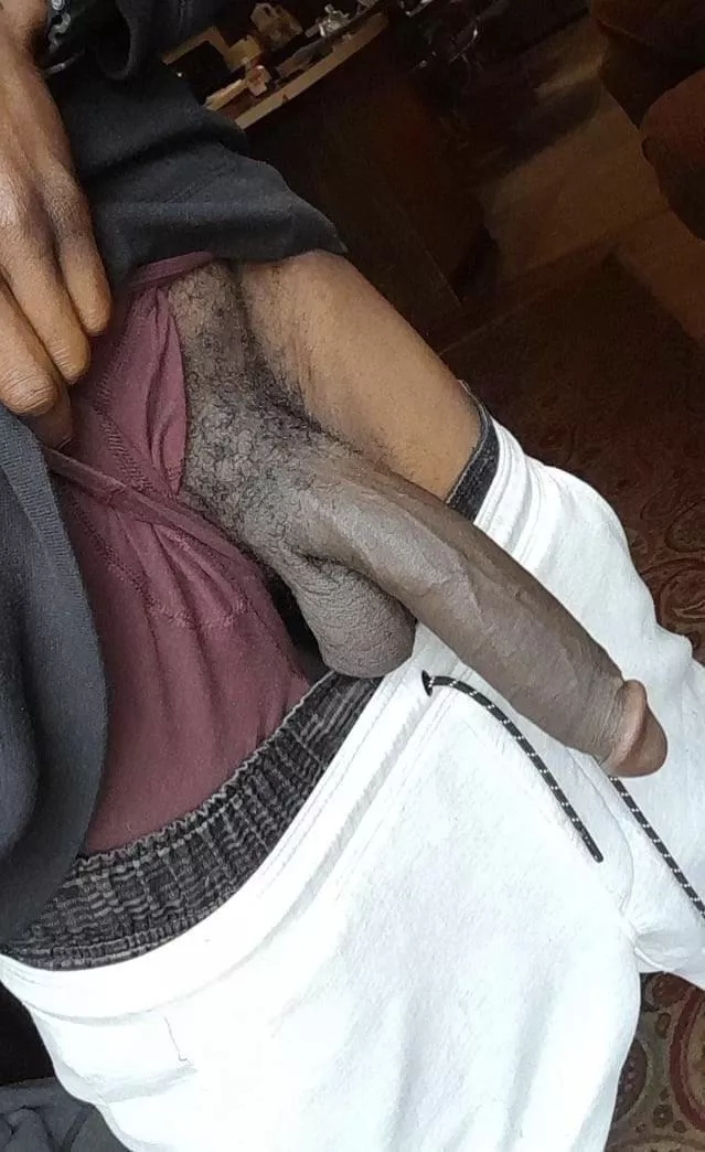 Let it hang posted by Professional_Mud6628