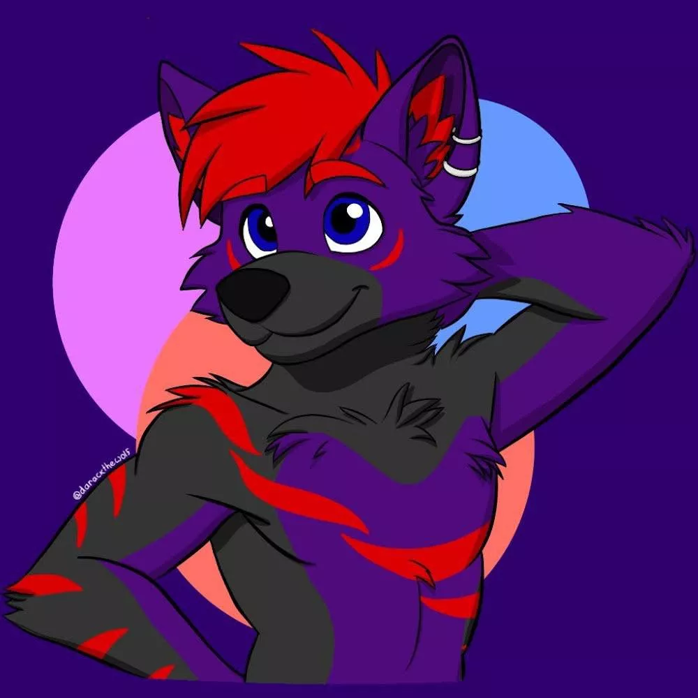 Look at this cutie Jax! posted by KatFurry4