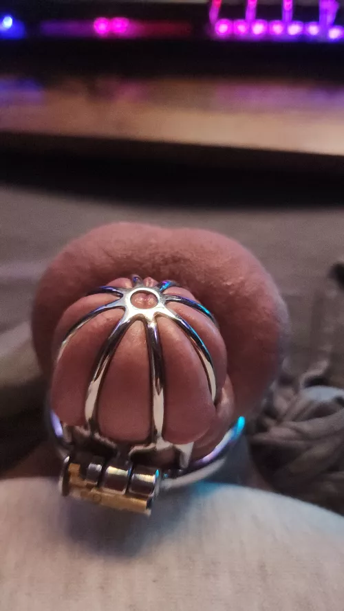 Love being caged and watching porn makes me soooo horny!! by Smooth_Rider69