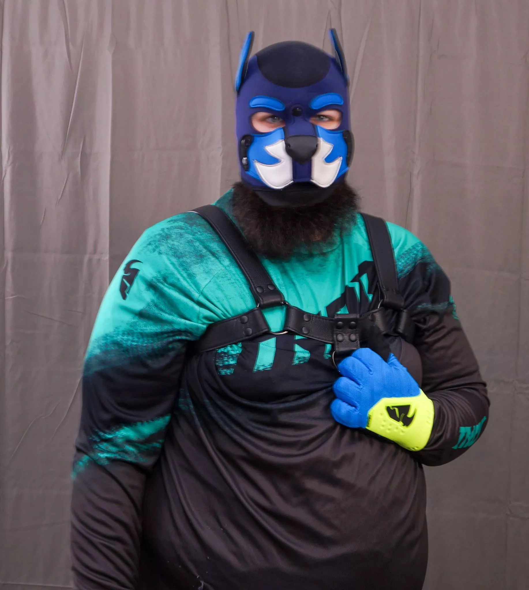 MotoCross Pup fusion posted by Nathanplaysnz