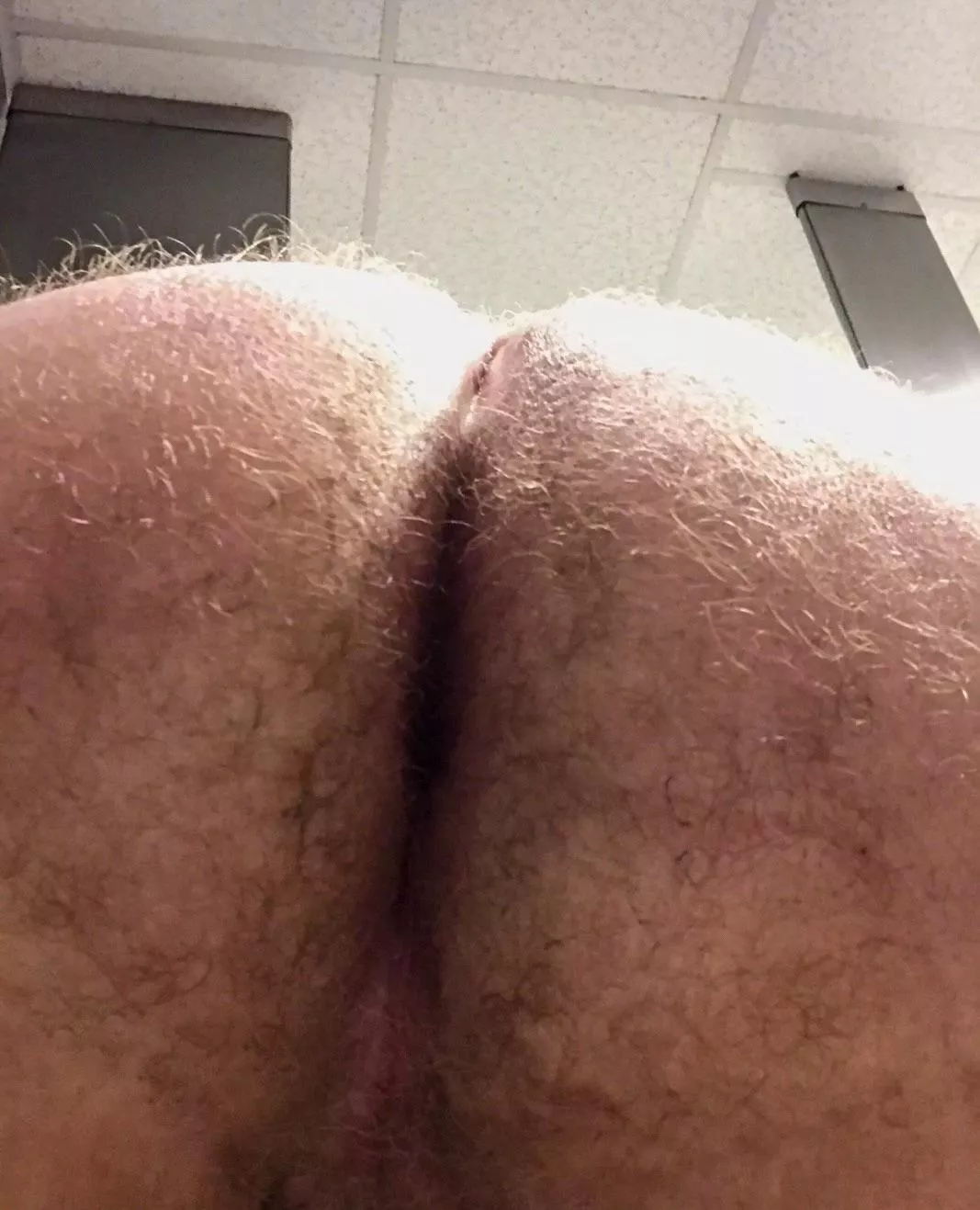 Musky sweaty gym ass posted by musky-jock
