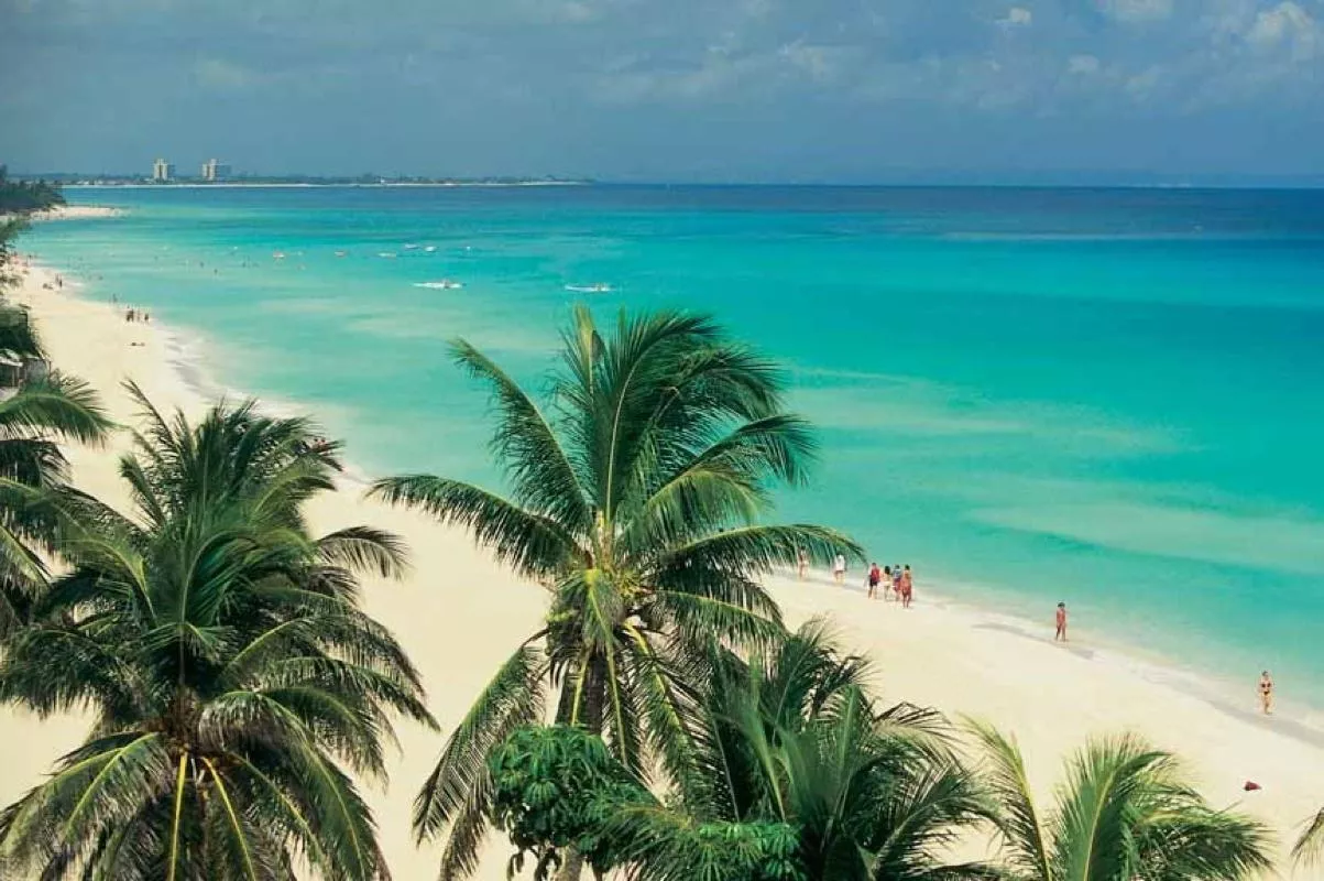 Stunner posted by False_Ad_6395