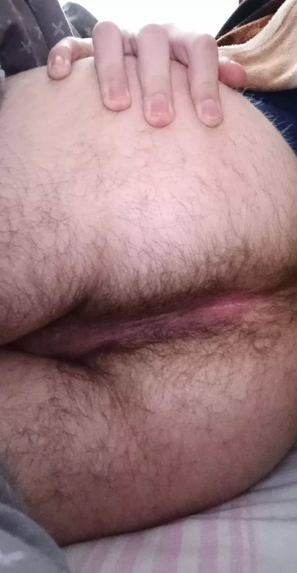 this ass needs breeding posted by Donald_Duck12