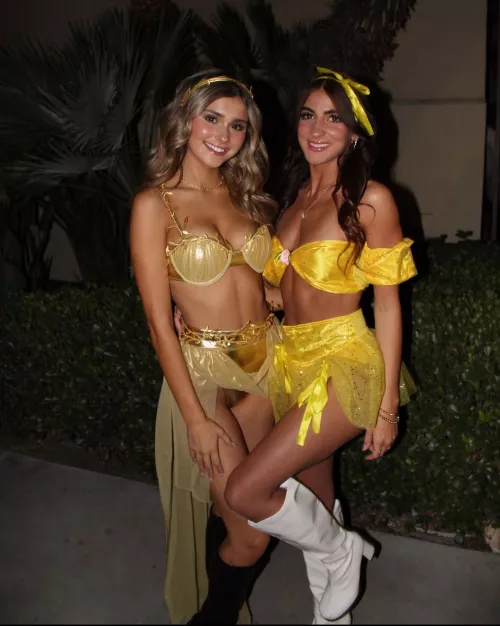 Which one? by Ok-Transition3936