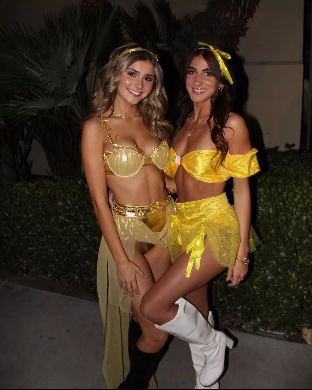 Which one? posted by Ok-Transition3936