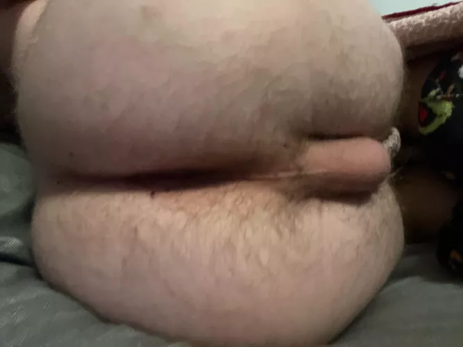 19 I send you my ass or you send me yours Anthony_tantill by Actual_Smile_3596