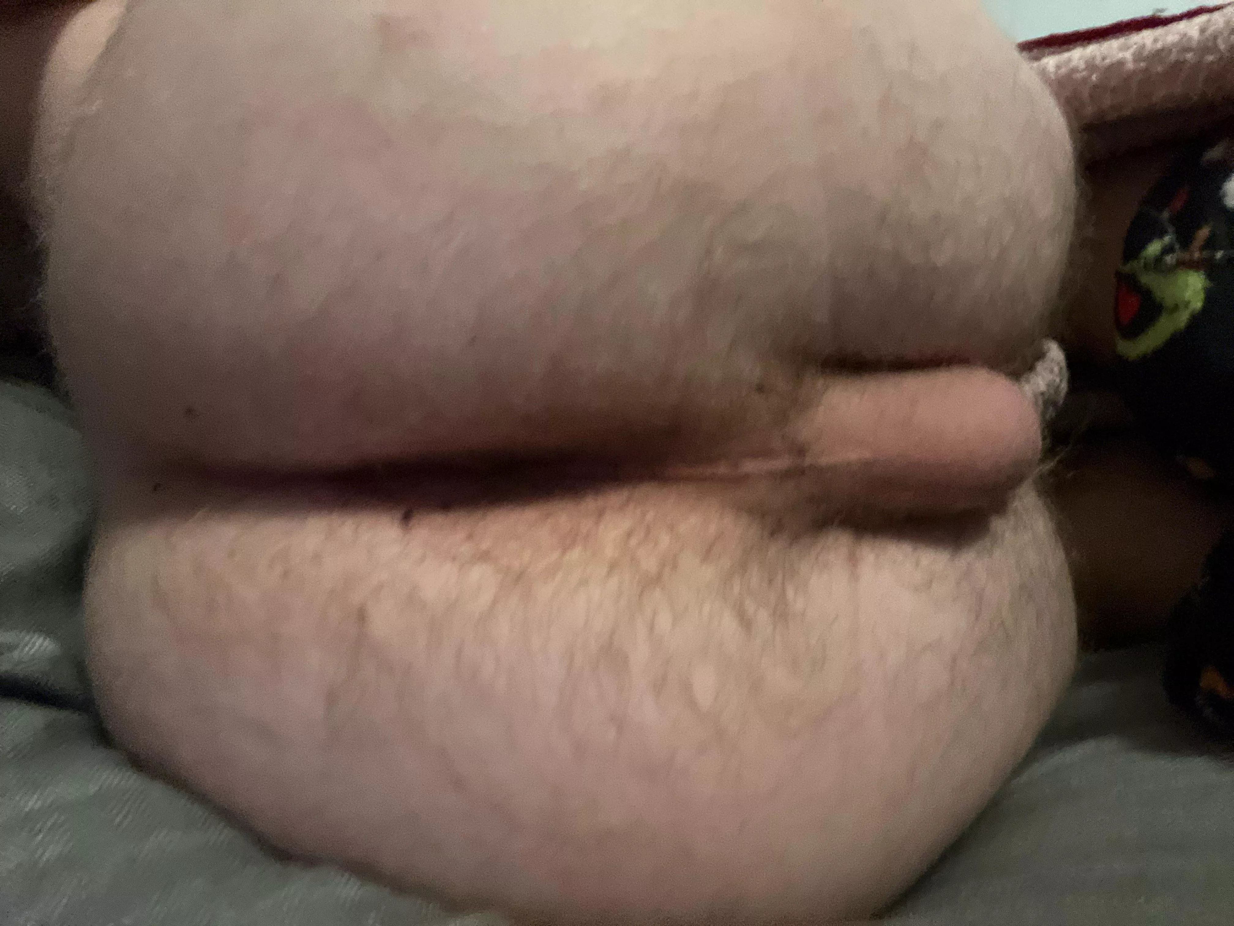 19 I send you my ass or you send me yours Anthony_tantill posted by Actual_Smile_3596