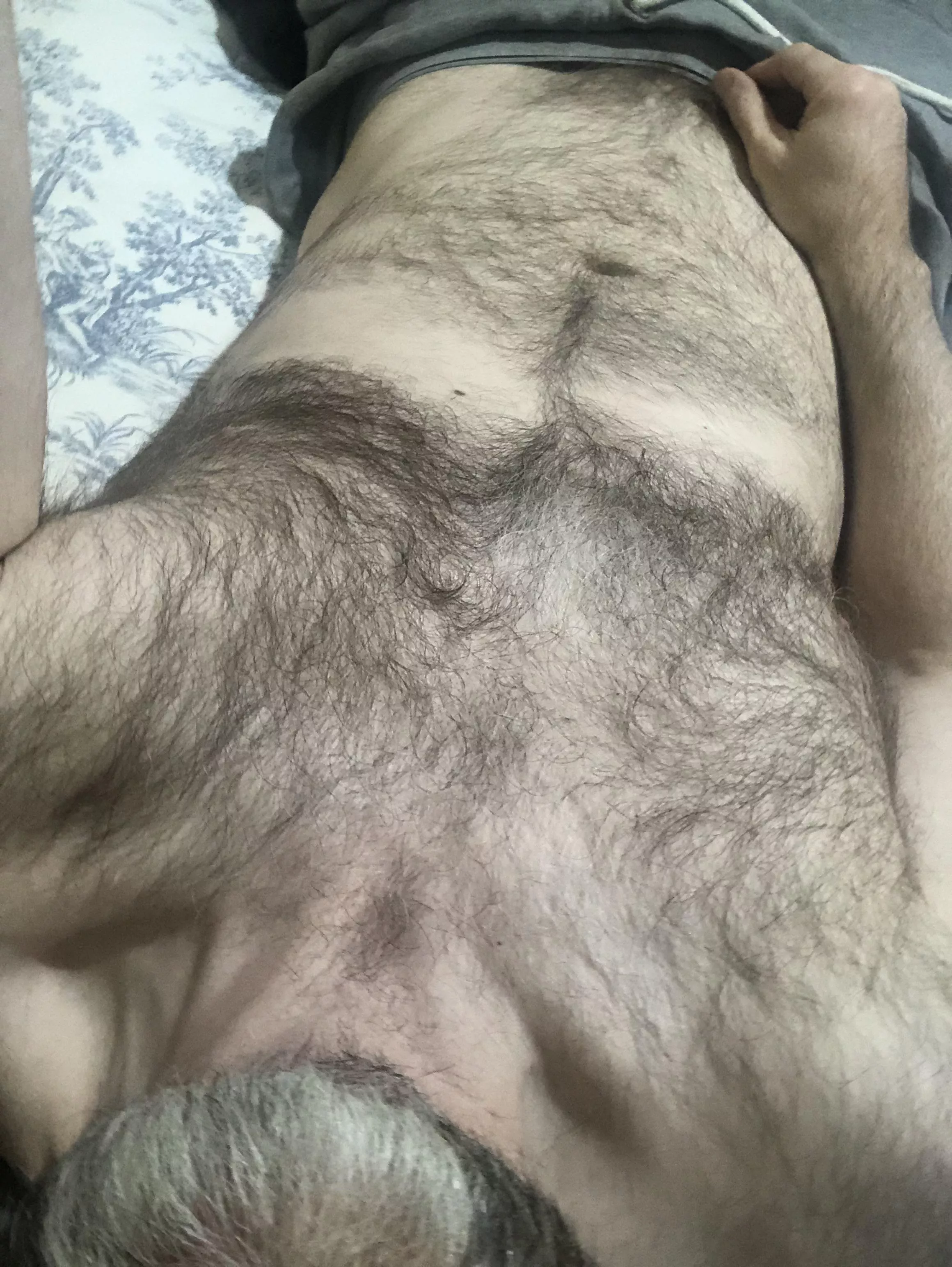 [48] who wants a Hairy chest ride ? posted by Mrsparkles7100