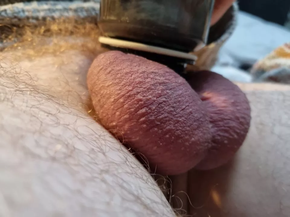 Balls posted by Late_Trouble8309