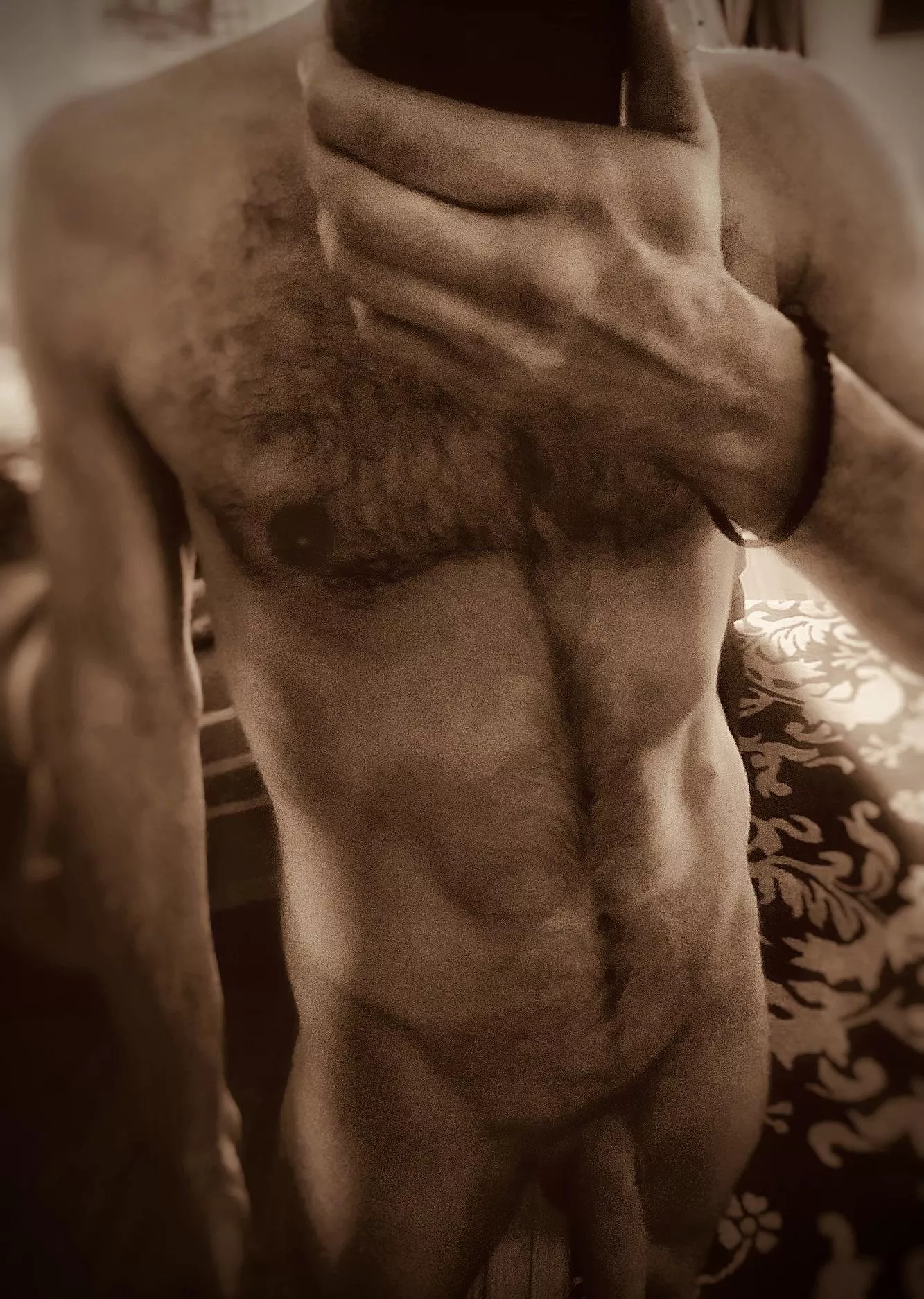 Bull for HotWife in Atlanta Metro posted by lrigwoCPlease